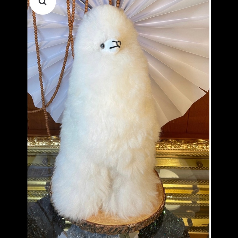 White Alpaca Teddy Plush